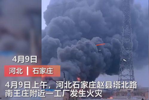 王庄最新爆料新闻视频播放,视频揭秘惊人内幕,真相令人震惊! 第1张 王庄最新爆料新闻视频播放,视频揭秘惊人内幕,真相令人震惊! 第1张