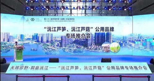 沅江新闻爆料网站官网,聚焦本土热点,传递民生声音 第1张 沅江新闻爆料网站官网,聚焦本土热点,传递民生声音 第1张